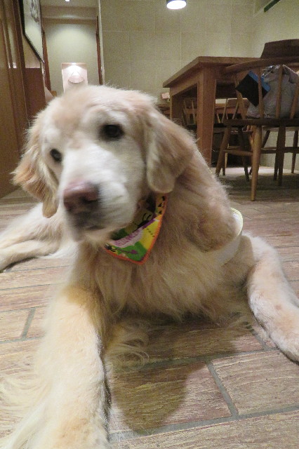 ファイル 6755-2.jpg