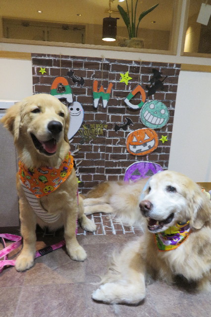 ファイル 6755-4.jpg