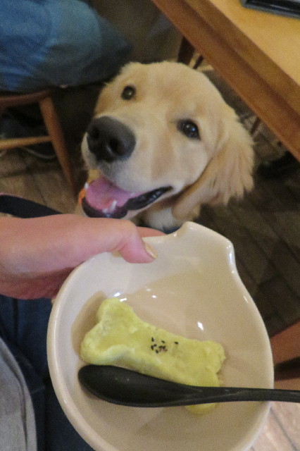 ファイル 6756-1.jpg