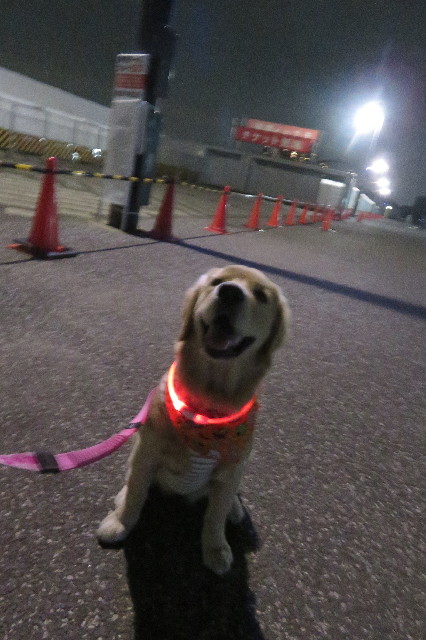 ファイル 6756-3.jpg