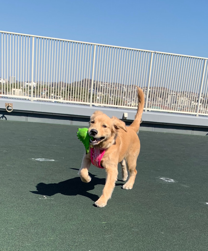 ファイル 6759-1.jpg