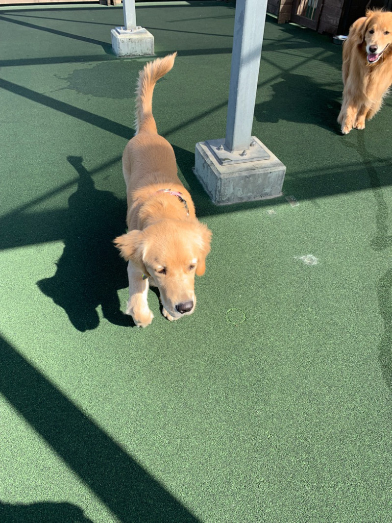 ファイル 6759-2.jpg