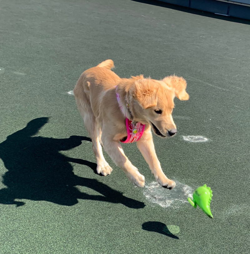 ファイル 6759-3.jpg