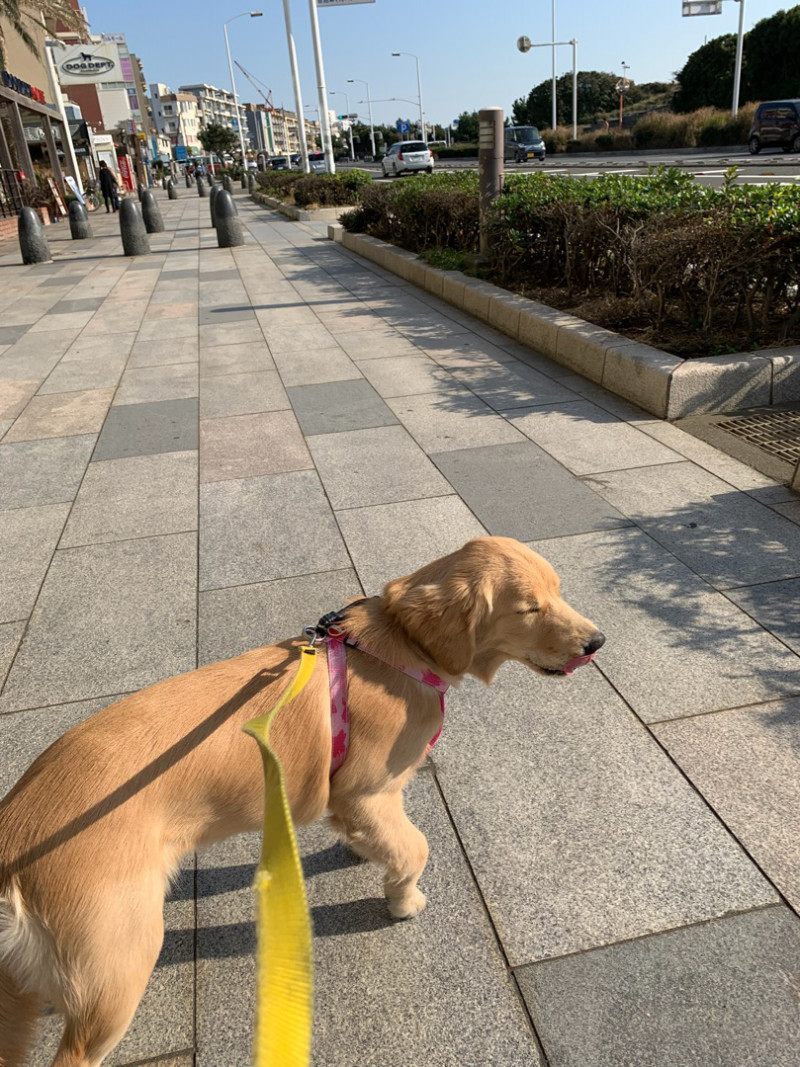 ファイル 6759-4.jpg