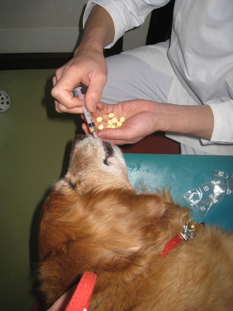 ファイル 676-1.jpg