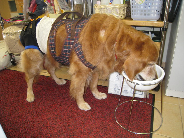 ファイル 676-2.jpg