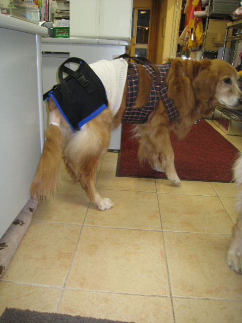 ファイル 676-3.jpg