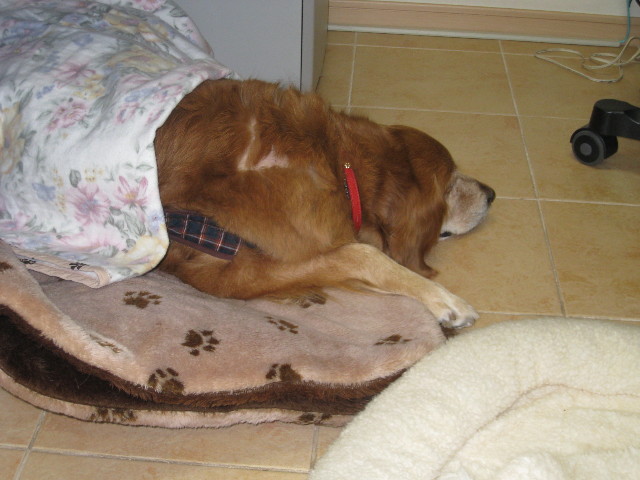 ファイル 676-5.jpg