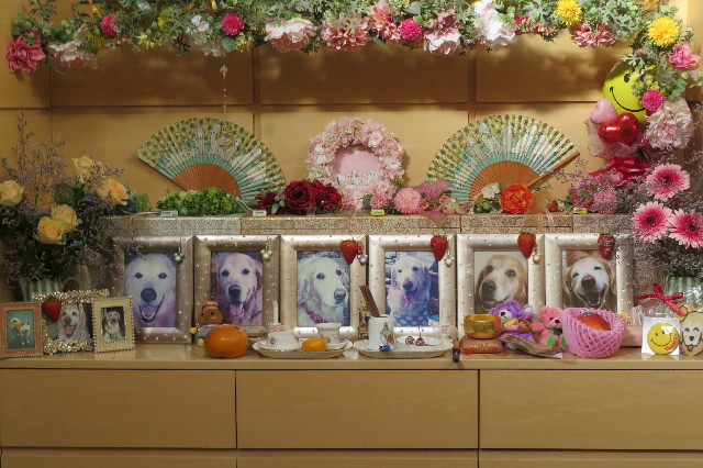 ファイル 6760-3.jpg