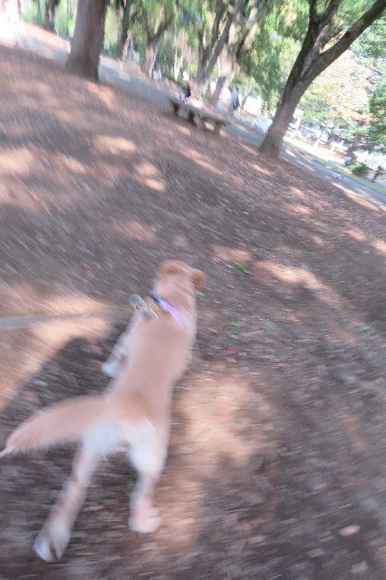 ファイル 6762-4.jpg