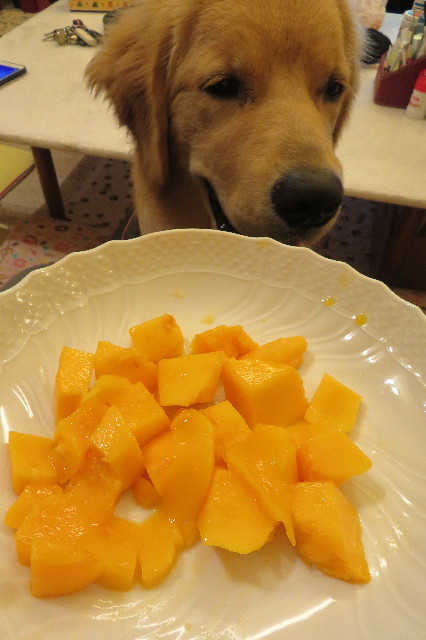 ファイル 6763-5.jpg