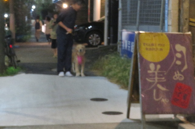 ファイル 6764-5.jpg