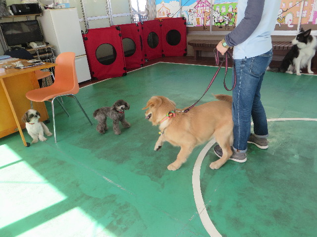 ファイル 6768-4.jpg