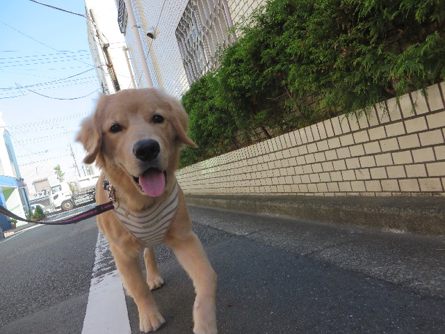 ファイル 6768-5.jpg