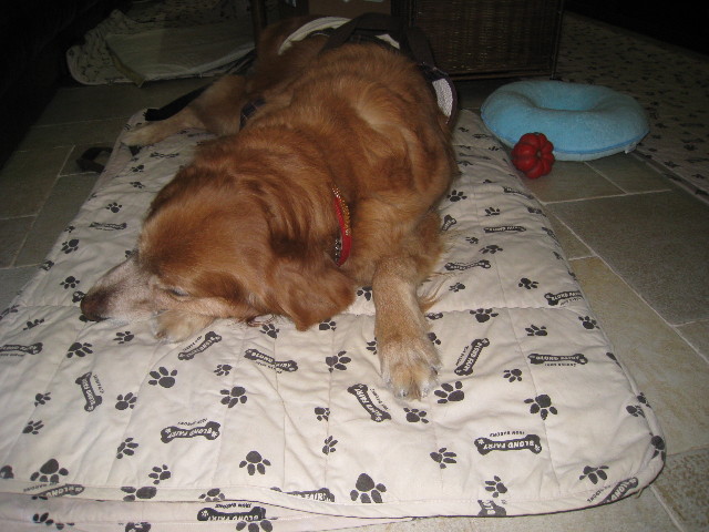 ファイル 677-5.jpg