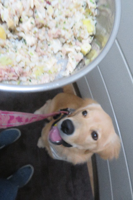 ファイル 6770-1.jpg