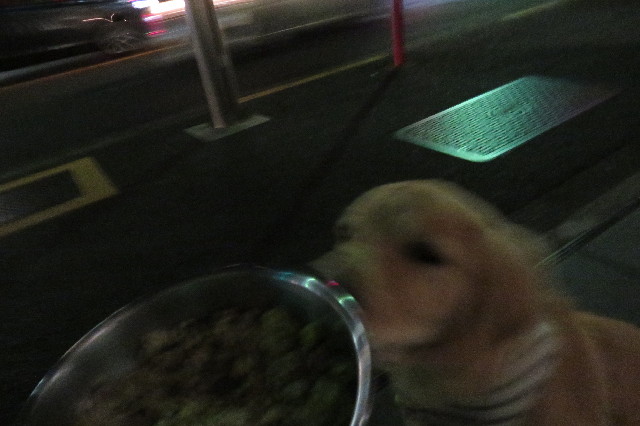 ファイル 6770-3.jpg