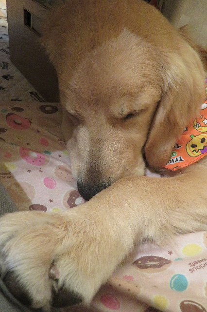 ファイル 6773-4.jpg