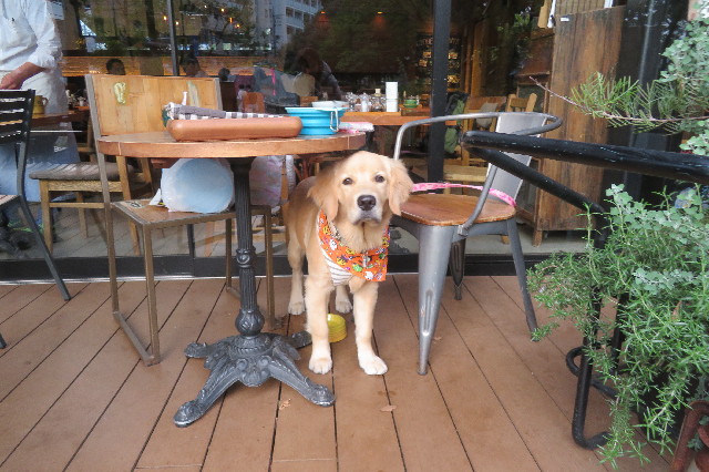 ファイル 6774-2.jpg