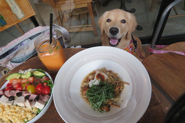 ファイル 6774-3.jpg