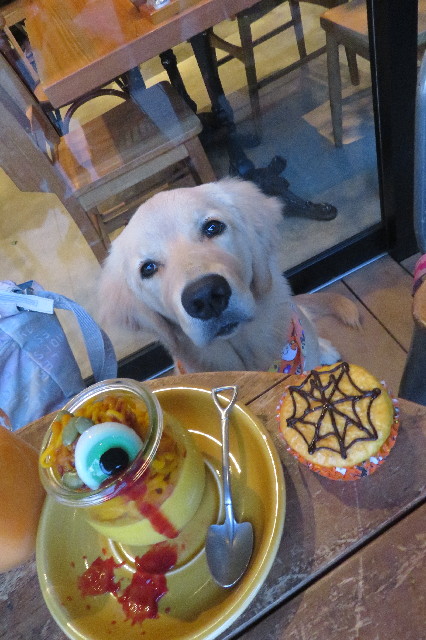 ファイル 6774-4.jpg