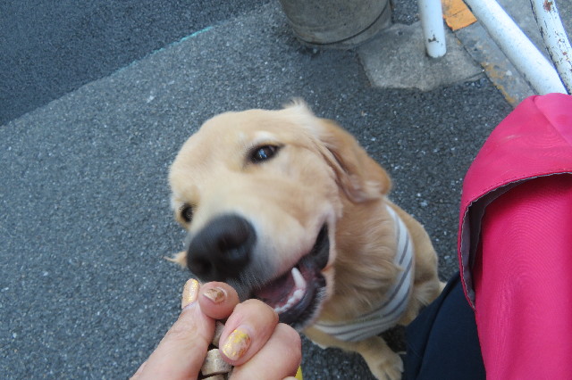 ファイル 6775-2.jpg