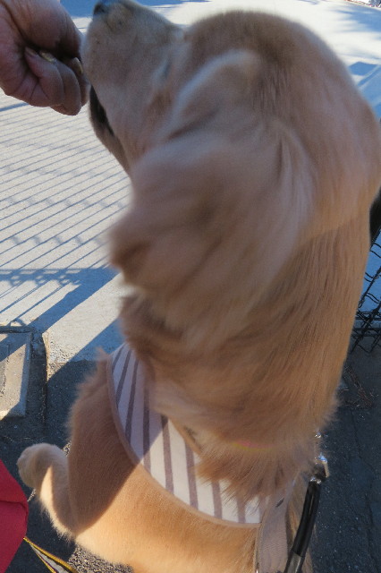 ファイル 6775-3.jpg