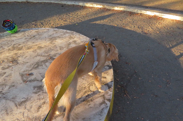 ファイル 6775-4.jpg