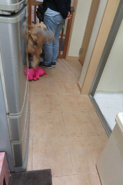 ファイル 6775-5.jpg