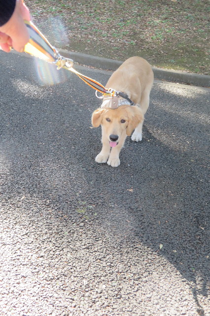 ファイル 6777-4.jpg