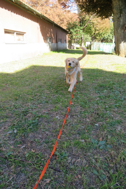 ファイル 6777-5.jpg