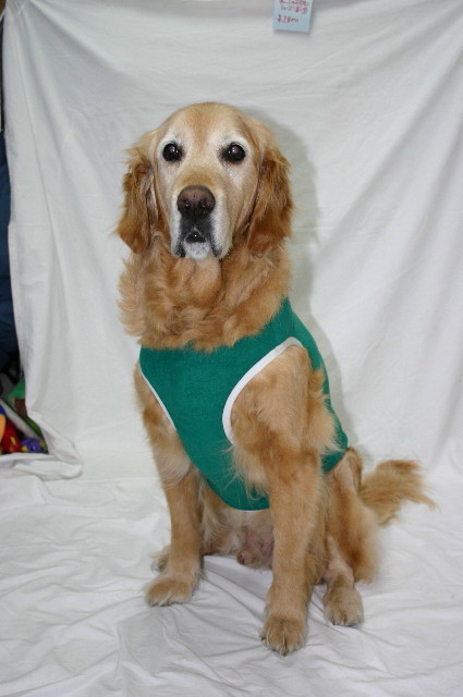 ファイル 6778-1.jpg