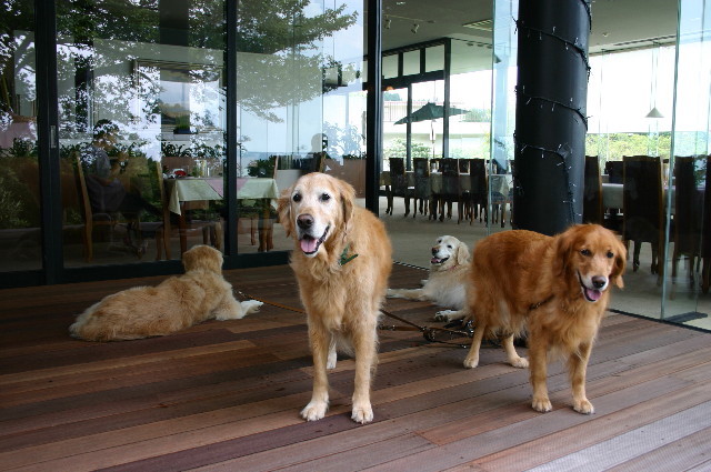 ファイル 6778-3.jpg