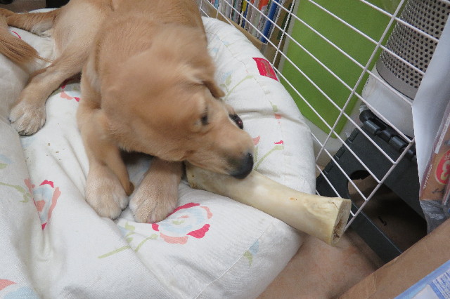 ファイル 6779-4.jpg