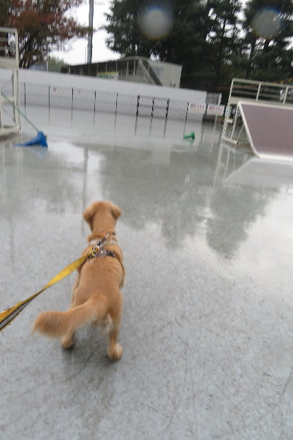 ファイル 6781-3.jpg