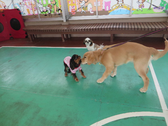 ファイル 6785-2.jpg