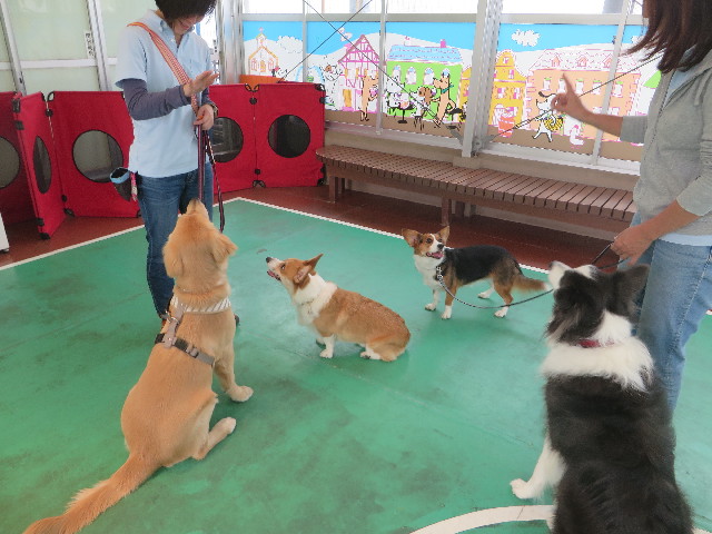 ファイル 6785-4.jpg