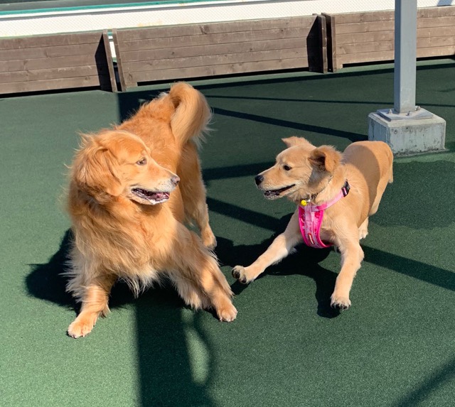 ファイル 6786-1.jpg