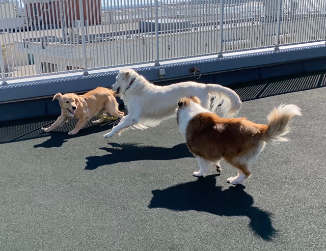 ファイル 6786-3.jpg