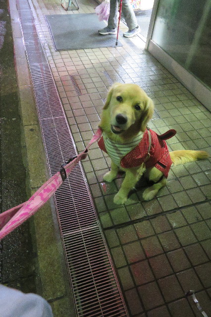 ファイル 6788-3.jpg