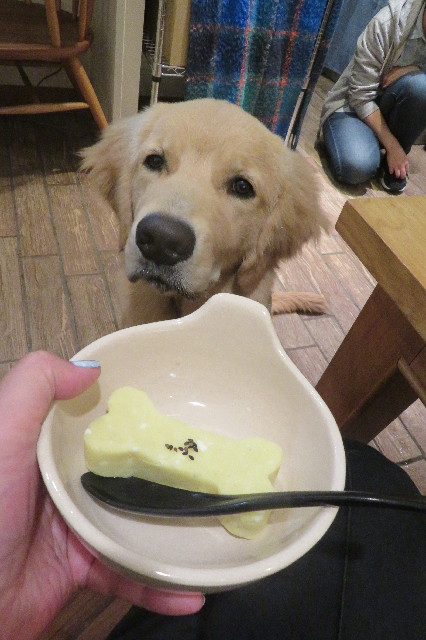 ファイル 6788-5.jpg