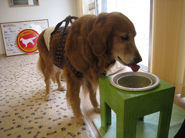 ファイル 679-3.jpg