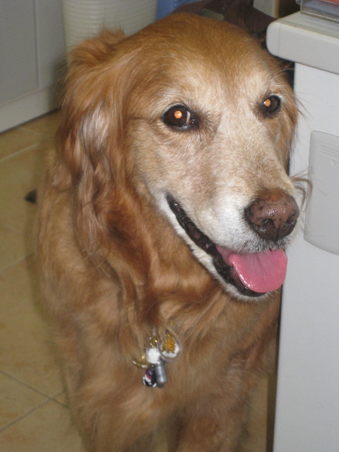 ファイル 679-4.jpg