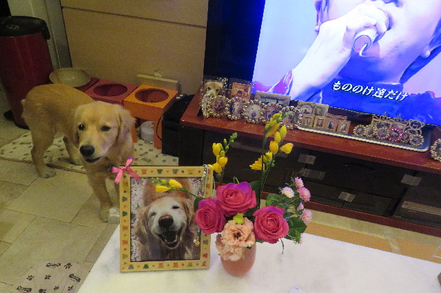 ファイル 6790-2.jpg