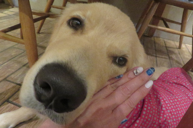 ファイル 6790-3.jpg