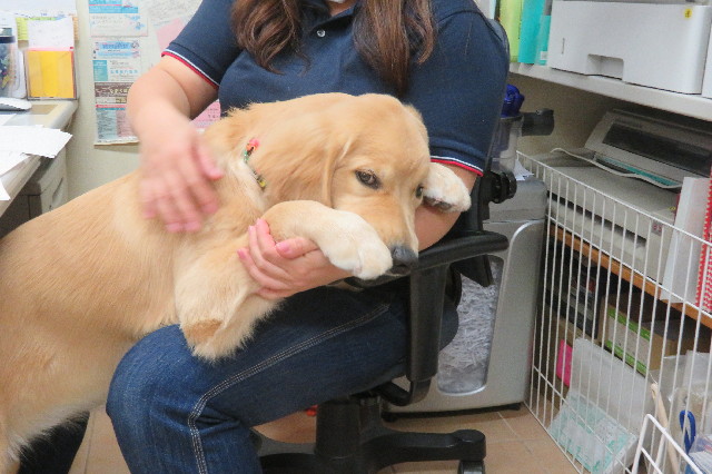 ファイル 6790-4.jpg