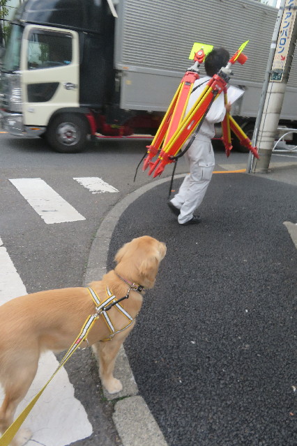 ファイル 6791-1.jpg