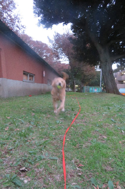 ファイル 6791-5.jpg