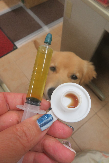 ファイル 6792-1.jpg