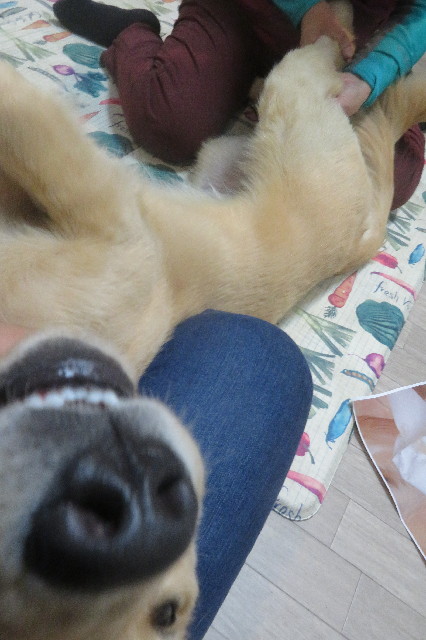 ファイル 6792-3.jpg